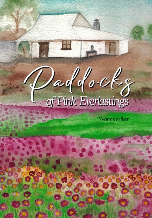 Paddocks of Pink Everlastings - Yvonne Miller